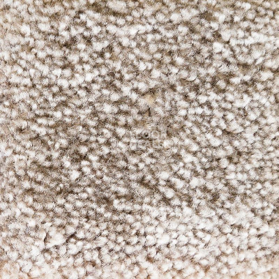 Ковролин AW Masquerade Gaudia 44 фото 1 | FLOORDEALER